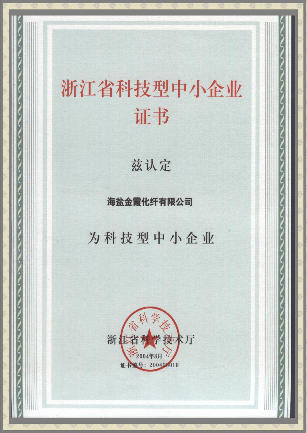 Technology Enterprise Certificate